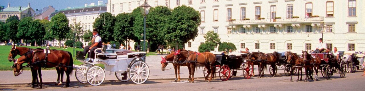 Horses and carriages wait outside the Imperial Palace in Vienna, Austria