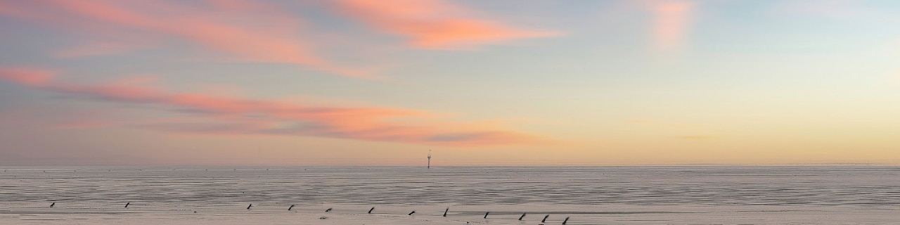 Menschen im Wattenmeer beim Sonnenuntergang