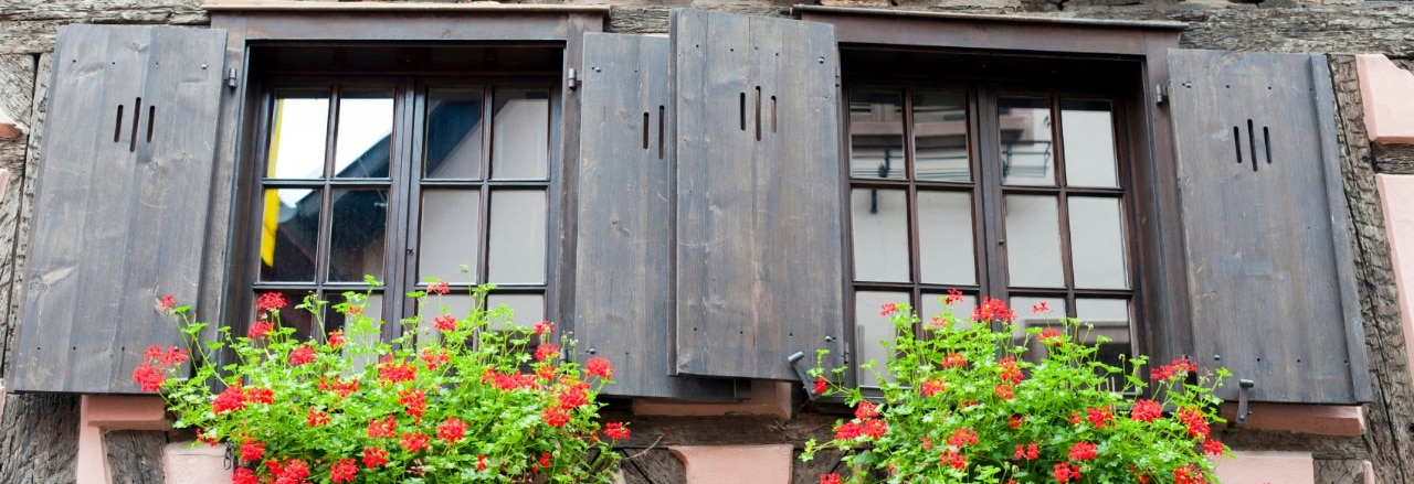 Bergheim (Alsace) - House and flowers