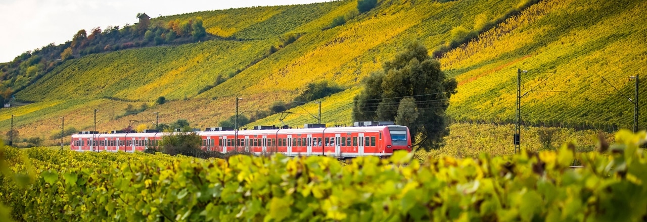 Ein Zug fährt durch herbstliche Weinberge in Nierstein.