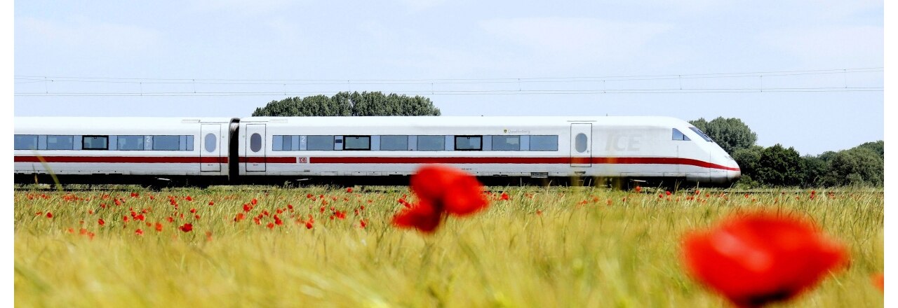 Mit der Bahn in die Schorfheide-Chorin - Fahrtziel Natur