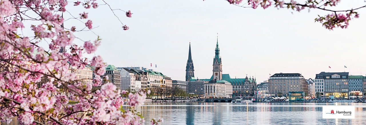 Hamburgs Binnenalster mit Kirschblüten