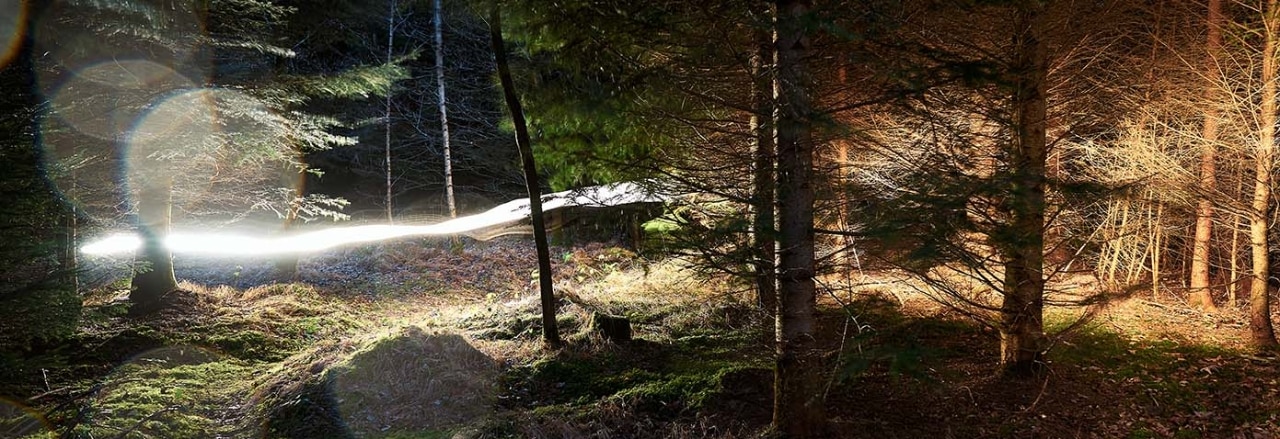 Lichtspiel zwischen Bäumen im Wald Aubinger Lohe