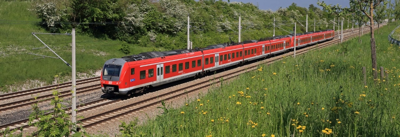 Regionalzug in Sommerlandschaft
