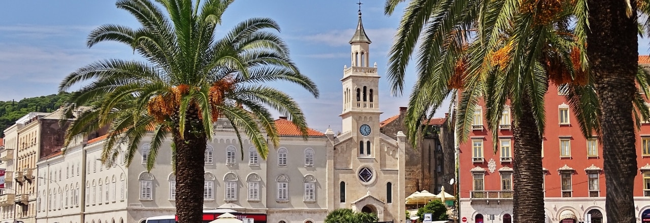 Palmen in der Stadt Split