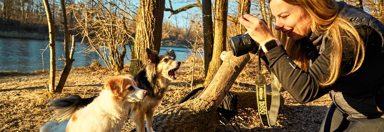 Eine Frau fotografiert zwei Hunde an einem Flussufer