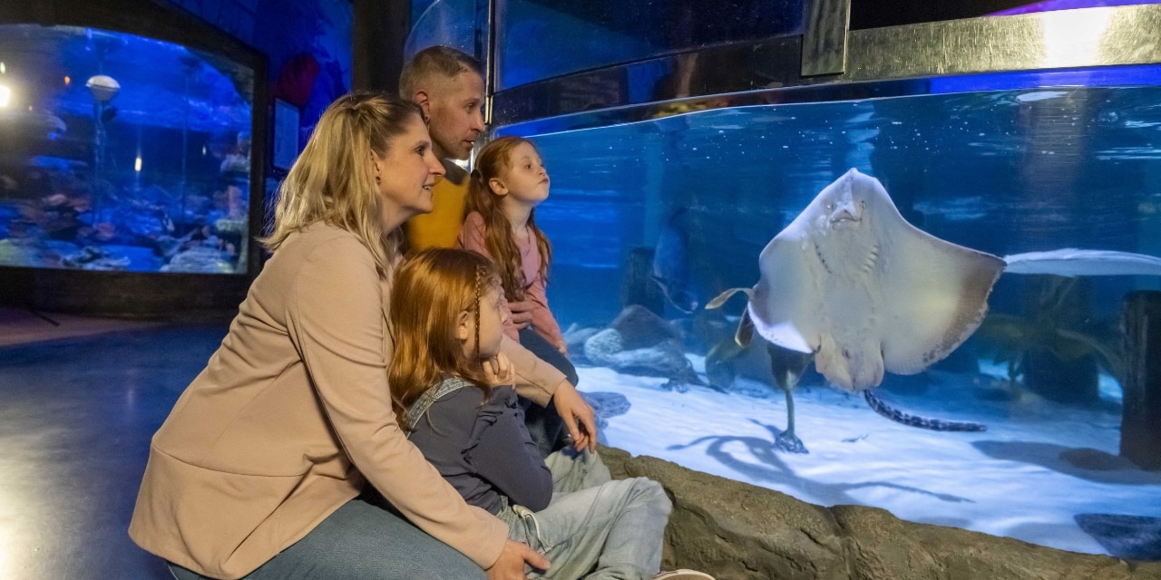 Familie bewundert einen Rochen im Aquarium