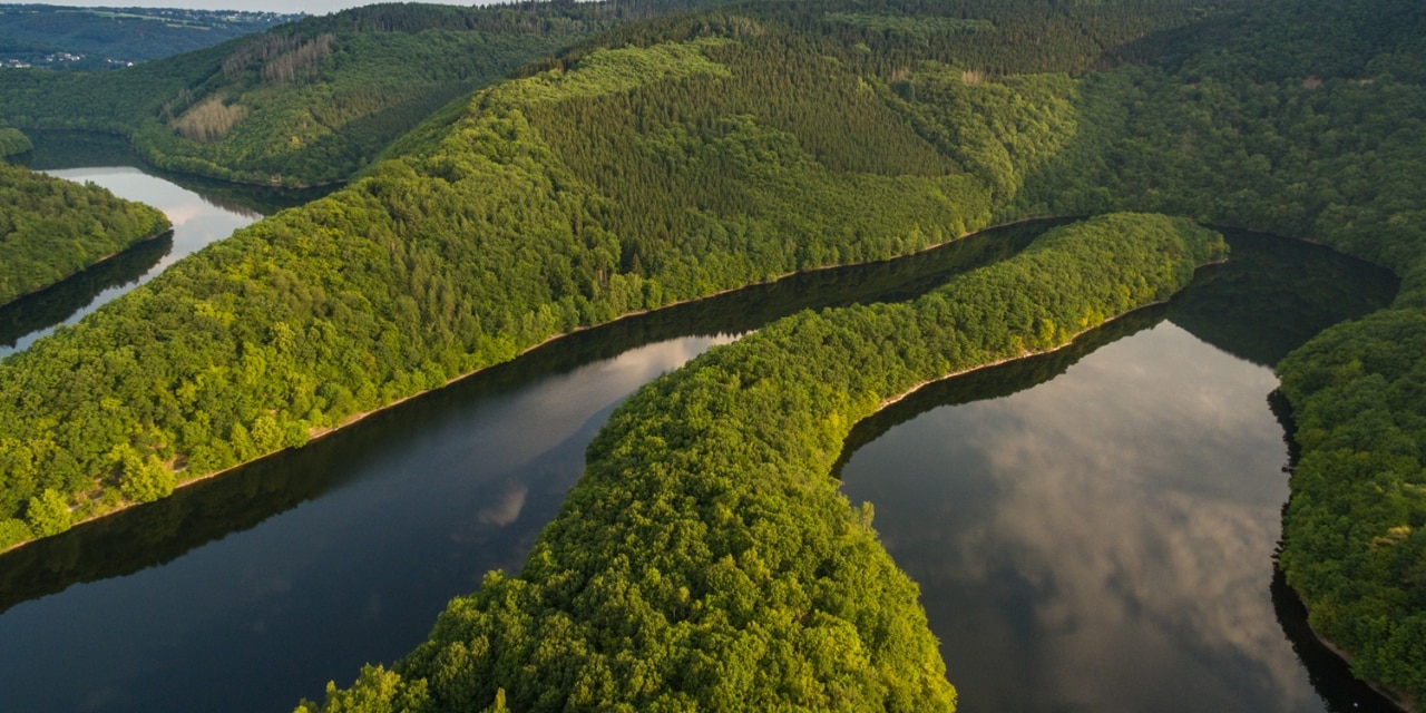 Landschaft im Nationalpark Eifel