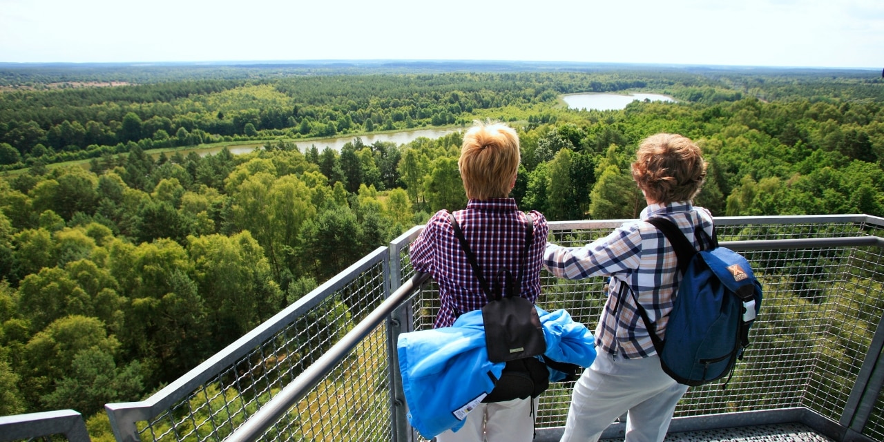 Nationalpark Mueritz: Aussicht vom Kaeflingsberger Turm