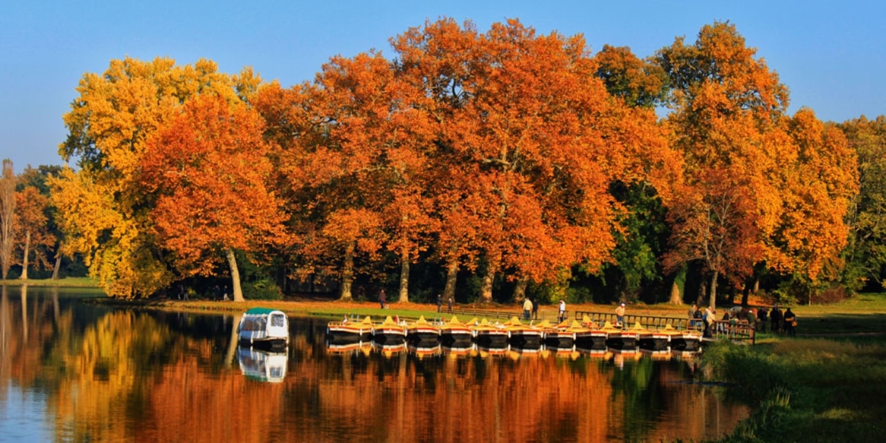 Herbst im Park Wörlitz
