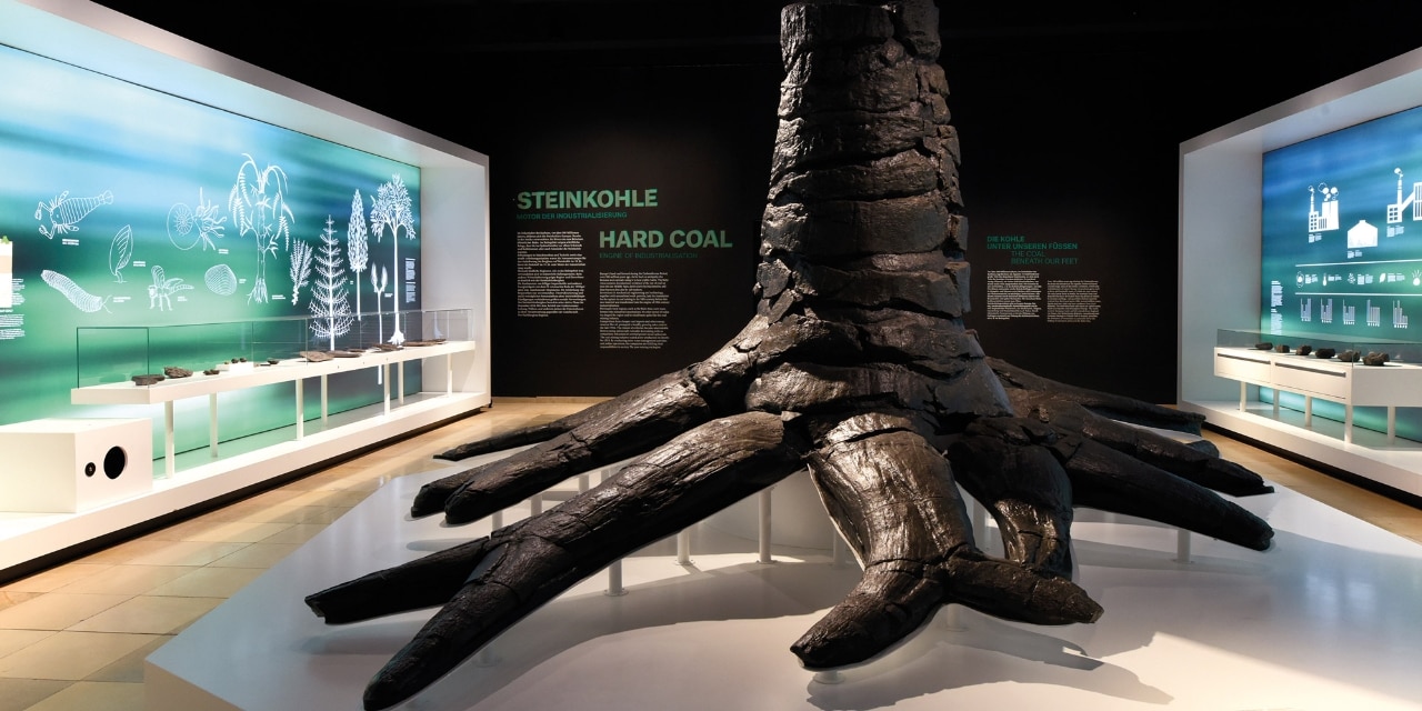 Ausstellungsraum mit Stammrest eines Schuppenbaums aus dem Karbonzeitalter