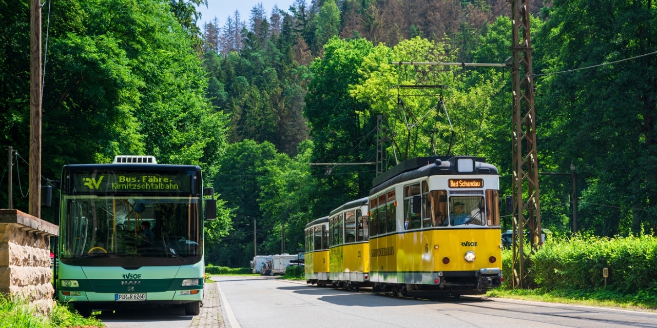 Bus und Tram Wald