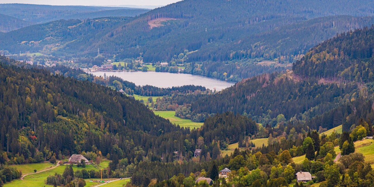 Schwarzwald Landschaft mit See