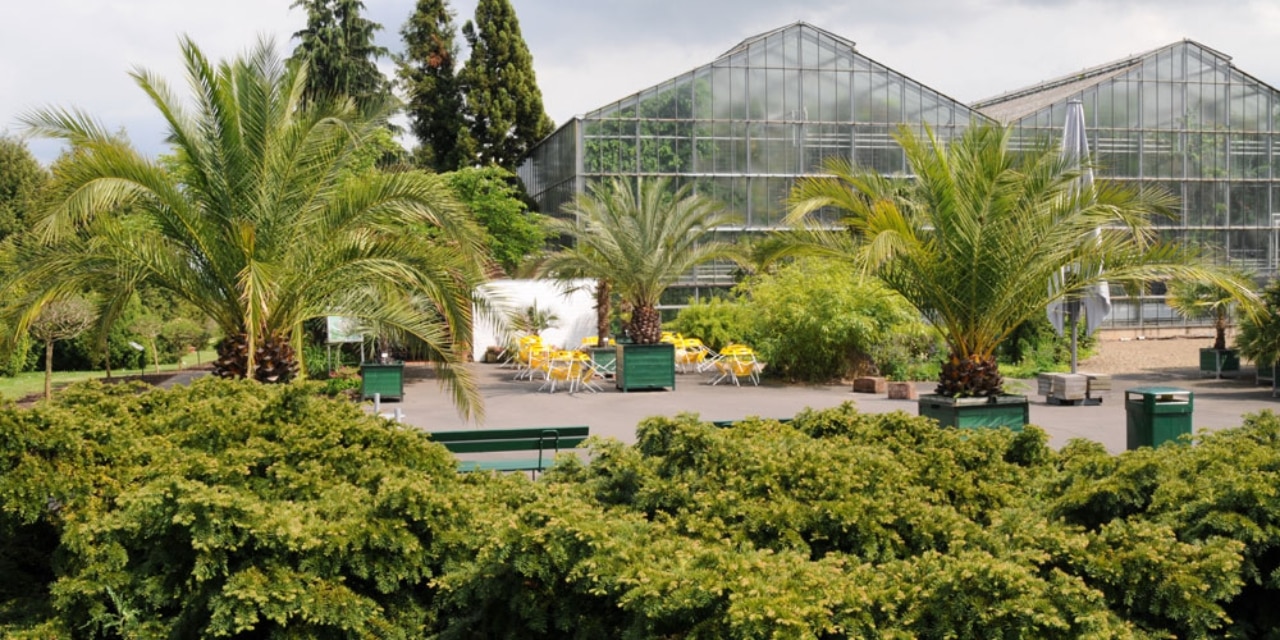 Neuer Botanischer Garten in Marburg