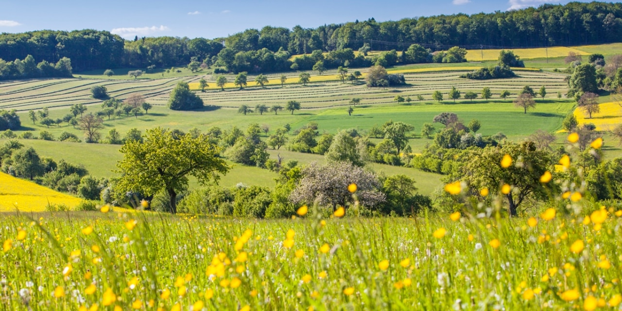 Landschaft im Bliesgau