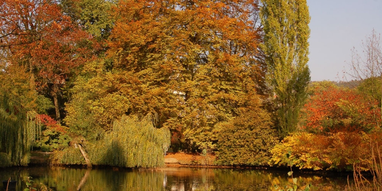 Alter Botanischer Garten in Marburg im Herbst
