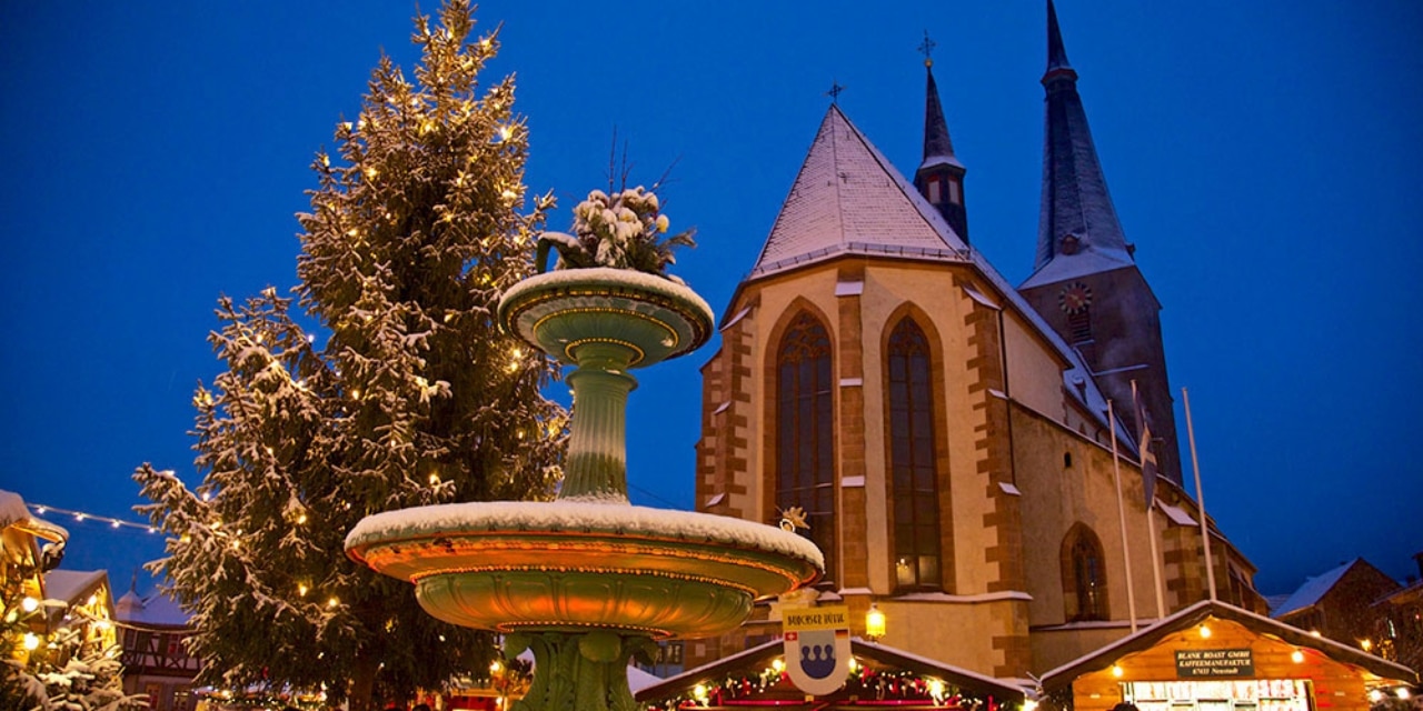 Brunnen, Dom und Weihnachtsbaum