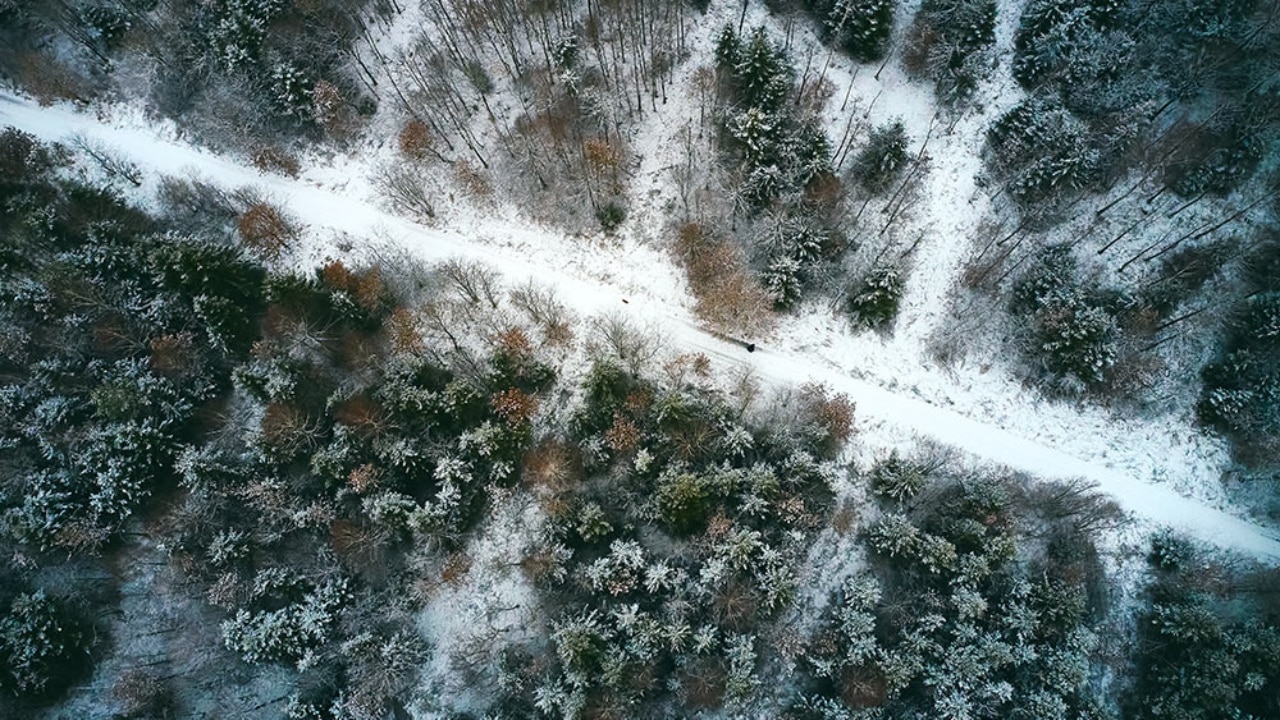 Verschneiter Gehweg durch den Wald von oben