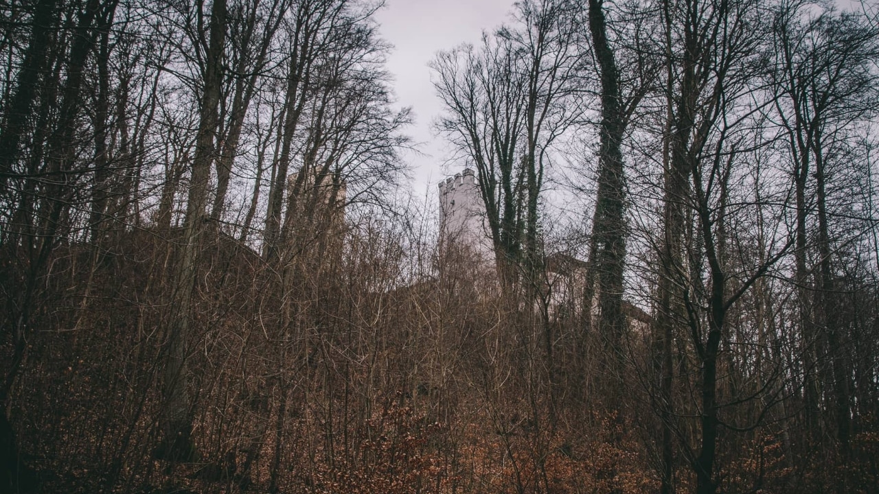 Burg Grünwald vom Wanderweg im Wald aus