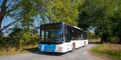 Nationalpark Harz Bus
