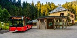 Roter Bus