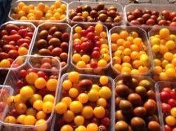 Gelbe und rote Tomaten in kleinen Plastikschalen