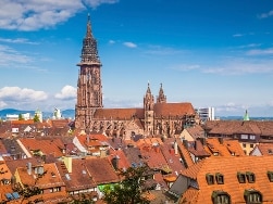 Münster in Freiburg im Breisgau