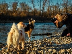 Zwei Hunde werden an einem Flussufer von einer Frau fotografiert