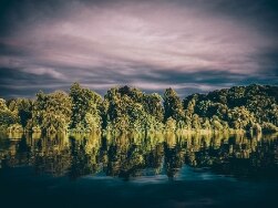 Bäume spiegeln sich in der Wasseroberfläche eines Sees