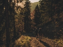 Zwei Personen wandern durch den Wald
