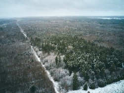 Verschneiter Wald von oben