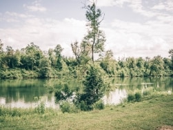 Ein See und grüne Natur