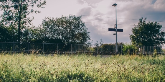 Wiese mit Bahnsteig im Hintergrund