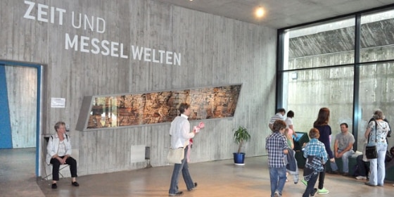 Foyer Besucherzentrum Grube Messel