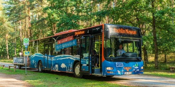Bus im Müritz Nationalpark
