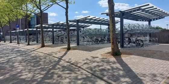Fahrradstellplätze am Bahnhof mit vielen Fahrrädern, davor grüne hohe Bäume und blauer Himmel