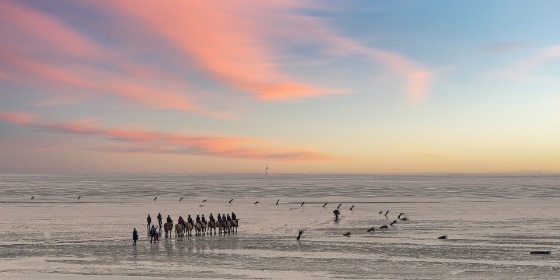 Menschen im Wattenmeer beim Sonnenuntergang