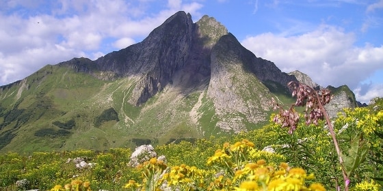 Gipfel eines Berges mit Blumen im Vordergrund