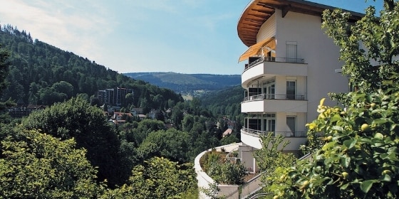 Panorama Hotel Schwarzwald
