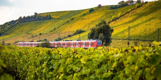 A train runs through autumnal vineyards