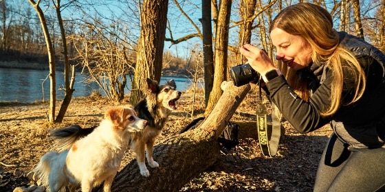 Eine Frau fotografiert zwei Hunde an einem Flussufer