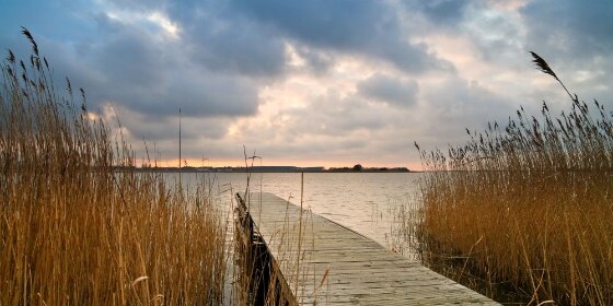 Steg auf Usedom