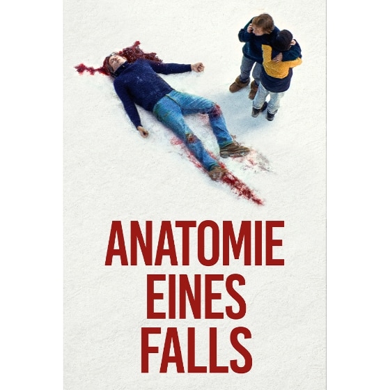 Cover Anatomie eines Falls