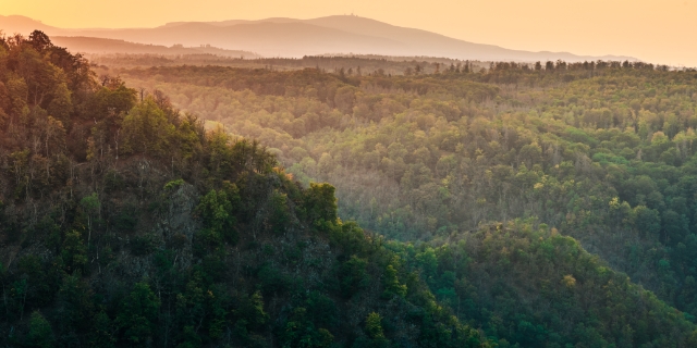 Nationalpark Harz