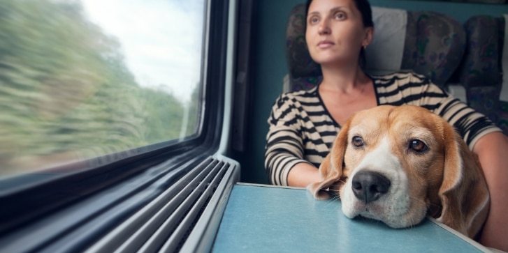 Woman with dog travel in railway wagon
