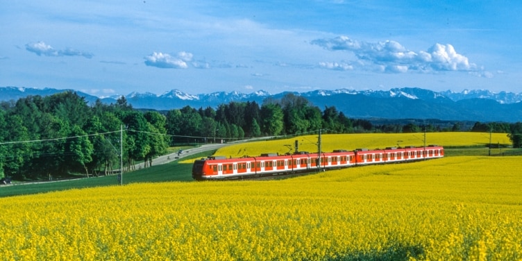 Roter Zug, S-Bahn