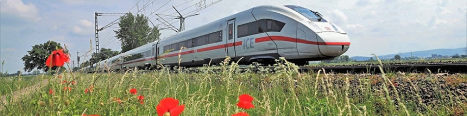 Mit der Bahn in den Sommer
