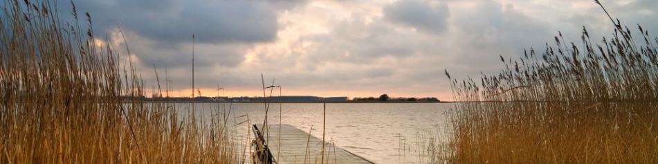 Steg auf Usedom