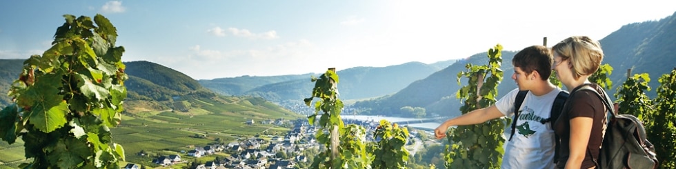Wanderer am Weinberg