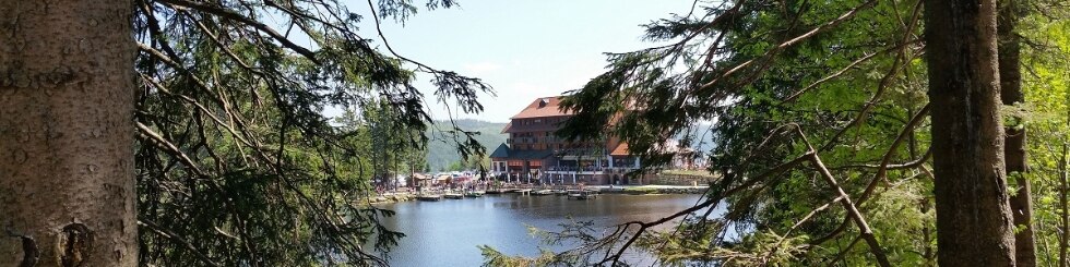 Mummelsee-Hornisgrinde Hütte